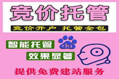 SEM推广代运营公司案例：从困境到突破的逆袭之路